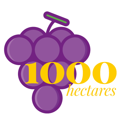 1000 hectares